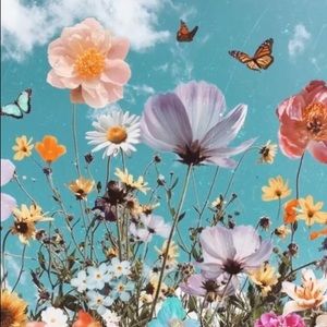 Meet your Posher, Ella